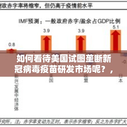 如何看待美国试图垄断新冠病毒疫苗研发市场呢？，黎巴嫩大爆炸，特朗普、法国、黎巴嫩三方博弈，各有什么盘算？