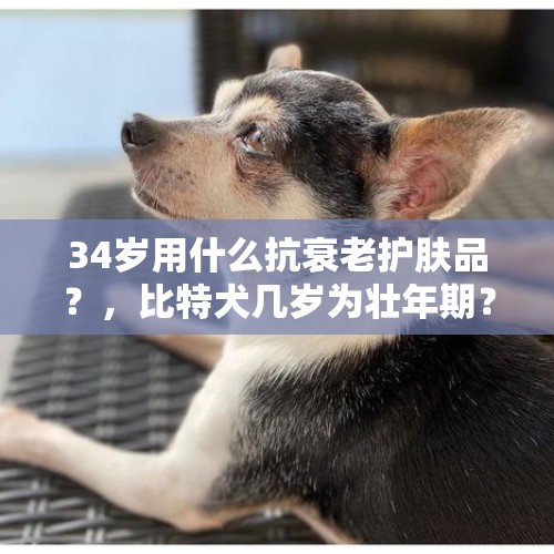 34岁用什么抗衰老护肤品？，比特犬几岁为壮年期？