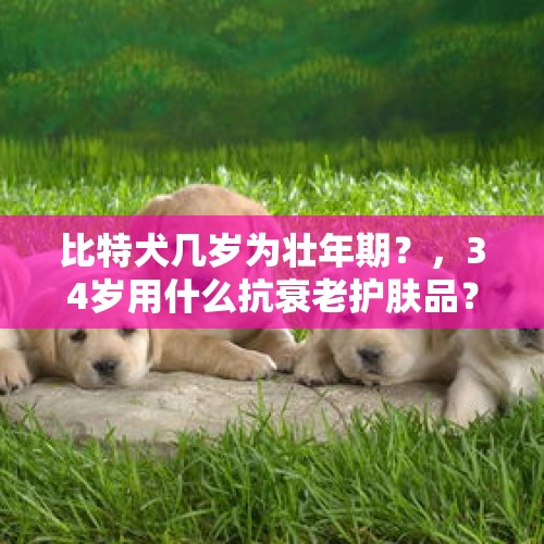 比特犬几岁为壮年期？，34岁用什么抗衰老护肤品？