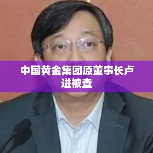 中国黄金集团原董事长卢进被查