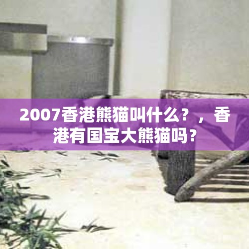 2007香港熊猫叫什么？，香港有国宝大熊猫吗？