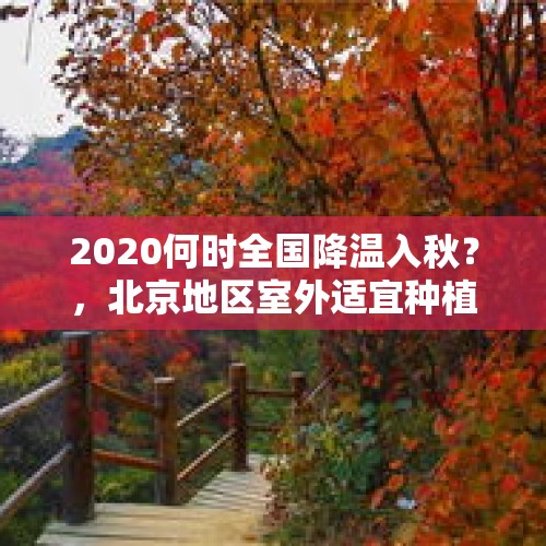 2020何时全国降温入秋？，北京地区室外适宜种植哪种红枫？