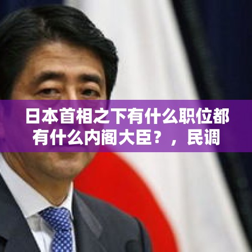 日本首相之下有什么职位都有什么内阁大臣？，民调首次排名第一，小泉纯一郎之子小泉进次郎能取代安倍成为日本首相吗？