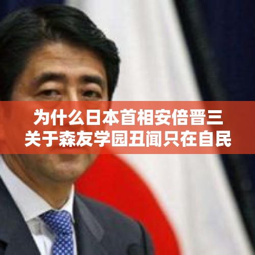 为什么日本首相安倍晋三关于森友学园丑闻只在自民党内部道歉？，石破茂组建新内阁