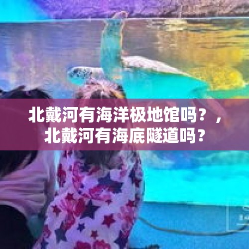 北戴河有海洋极地馆吗？，北戴河有海底隧道吗？