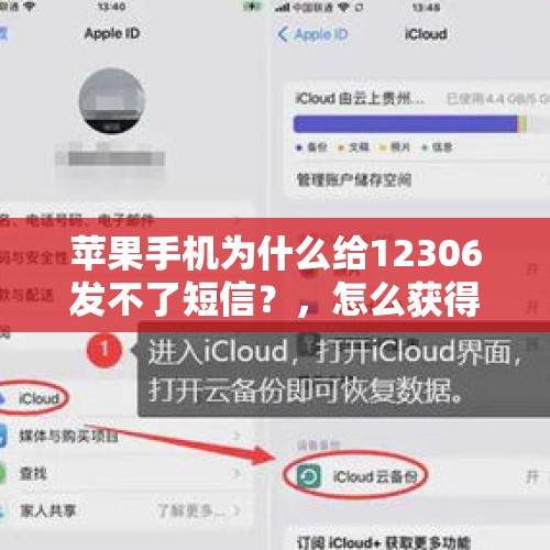 苹果手机为什么给12306发不了短信？，怎么获得12306的短信？