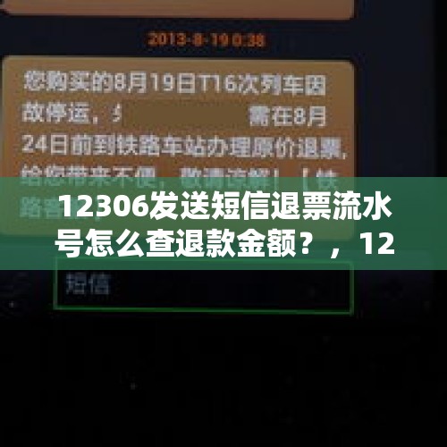 12306发送短信退票流水号怎么查退款金额？，12306发停运短信准不准？