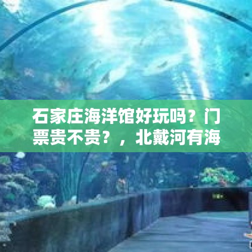 石家庄海洋馆好玩吗？门票贵不贵？，北戴河有海底隧道吗？