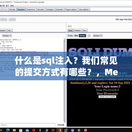 什么是sql注入？我们常见的提交方式有哪些？，Meta被罚款1亿美元