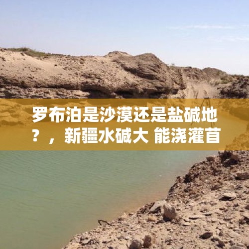 罗布泊是沙漠还是盐碱地？，新疆水碱大 能浇灌苜蓿。吗？