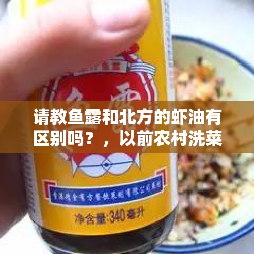 请教鱼露和北方的虾油有区别吗？，以前农村洗菜、洗衣服都到小溪边洗，现在为什么没有人到小溪边洗菜、洗衣服了？