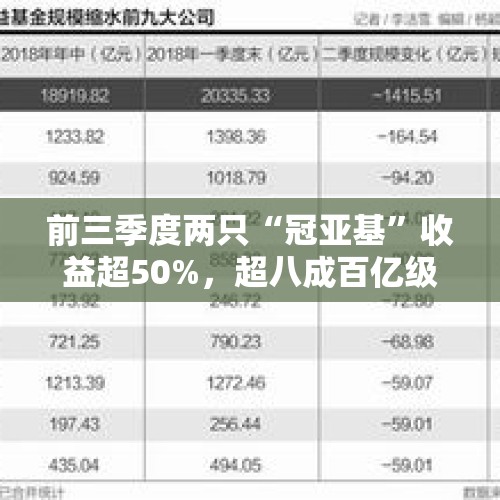 前三季度两只“冠亚基”收益超50%，超八成百亿级主动权益基金“回血”