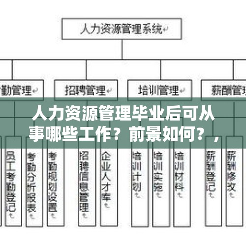 人力资源管理毕业后可从事哪些工作？前景如何？，学区房的升值前景如何？