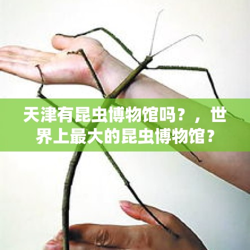 天津有昆虫博物馆吗？，世界上最大的昆虫博物馆？