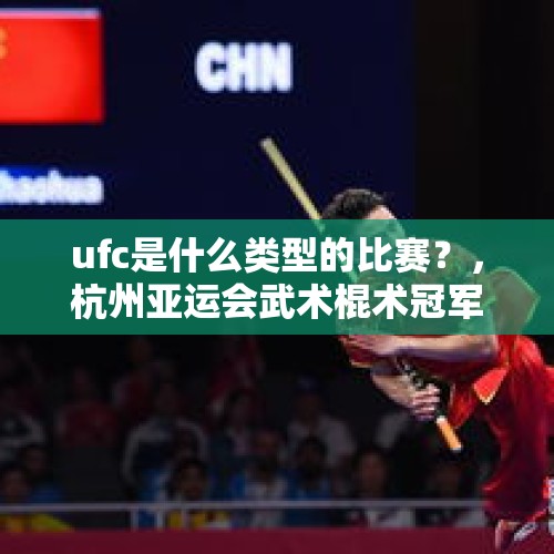 ufc是什么类型的比赛？，杭州亚运会武术棍术冠军是谁？