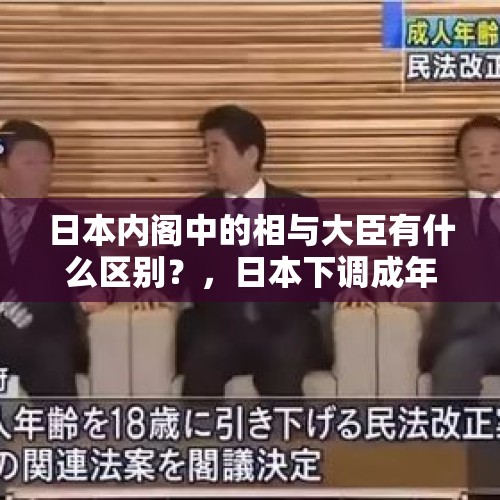 日本内阁中的相与大臣有什么区别？，日本下调成年年龄从20岁下调至18岁，你怎么看？