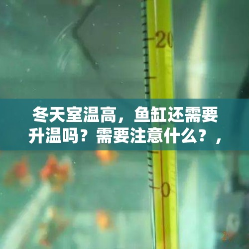 冬天室温高，鱼缸还需要升温吗？需要注意什么？，零下30度什么概念？