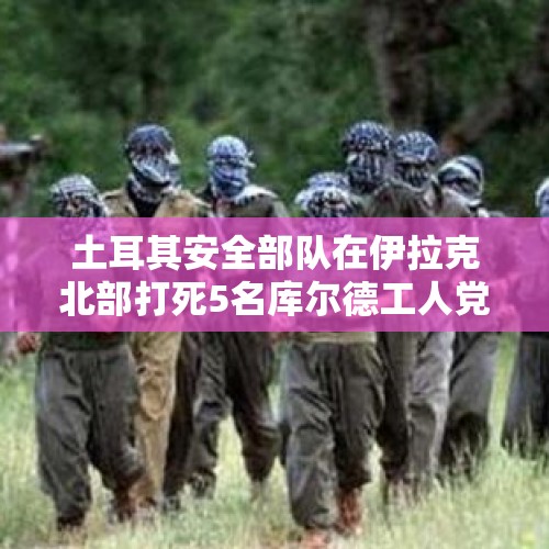 土耳其安全部队在伊拉克北部打死5名库尔德工人党成员