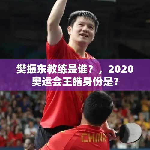 樊振东教练是谁？，2020奥运会王皓身份是？