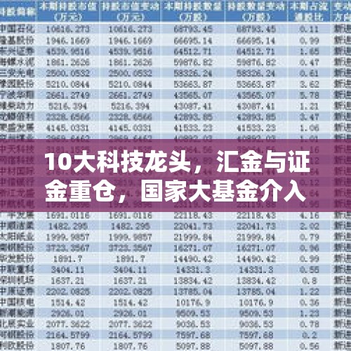 10大科技龙头，汇金与证金重仓，国家大基金介入，社保与外资加仓