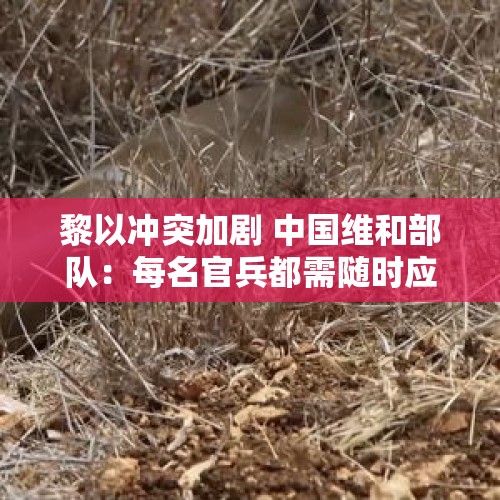 黎以冲突加剧 中国维和部队：每名官兵都需随时应对可能发生的险情