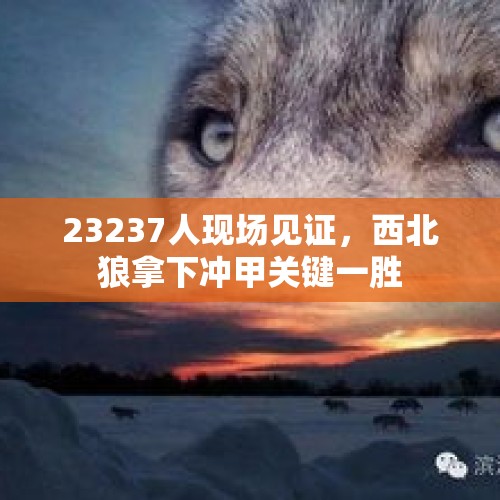 23237人现场见证，西北狼拿下冲甲关键一胜