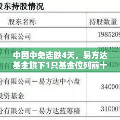 中国中免连跌4天，易方达基金旗下1只基金位列前十大股东