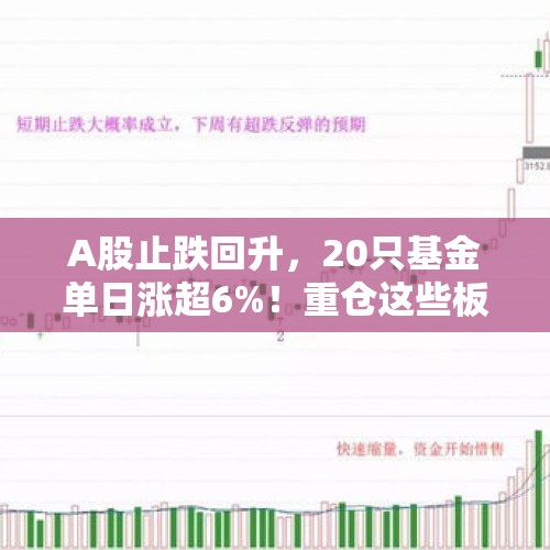 A股止跌回升，20只基金单日涨超6%！重仓这些板块