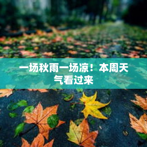 一场秋雨一场凉！本周天气看过来