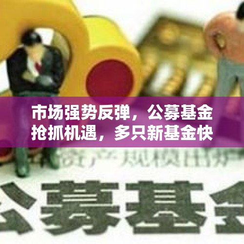 市场强势反弹，公募基金抢抓机遇，多只新基金快速建仓并提前结束募集