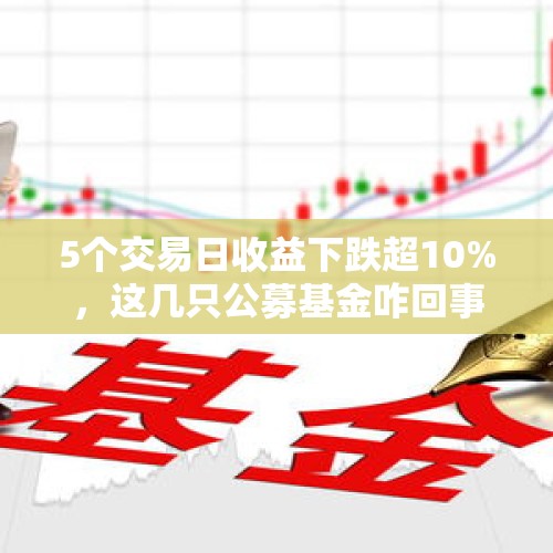 5个交易日收益下跌超10%，这几只公募基金咋回事？