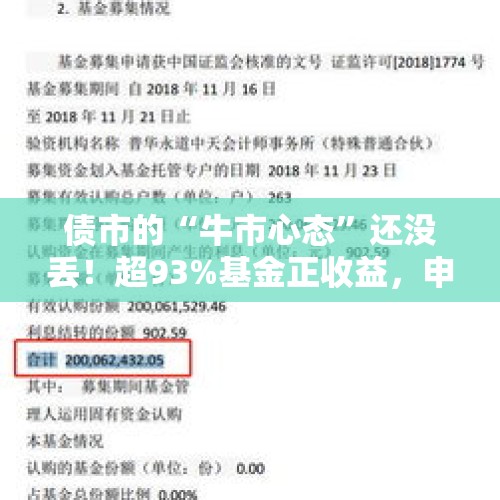 债市的“牛市心态”还没丢！超93%基金正收益，申购额度翻10倍