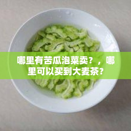 哪里有苦瓜泡菜卖？，哪里可以买到大麦茶？