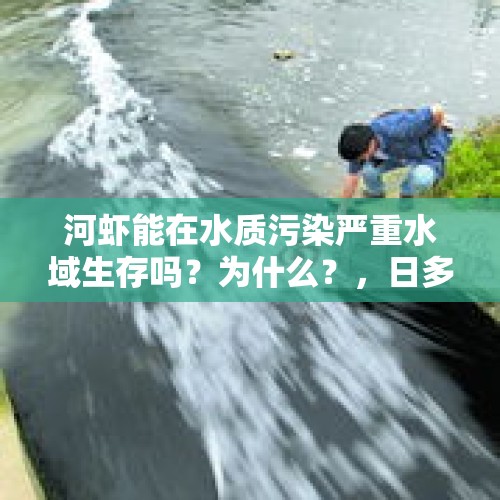 河虾能在水质污染严重水域生存吗？为什么？，日多地水体污染严重