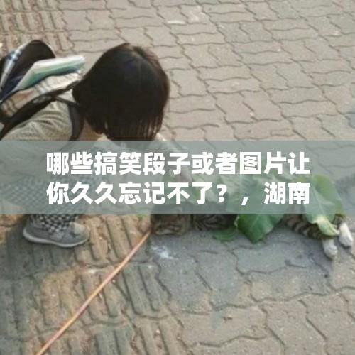 哪些搞笑段子或者图片让你久久忘记不了？，湖南株洲女童滞留电梯找家长时从8楼坠亡，你觉得责任在谁？