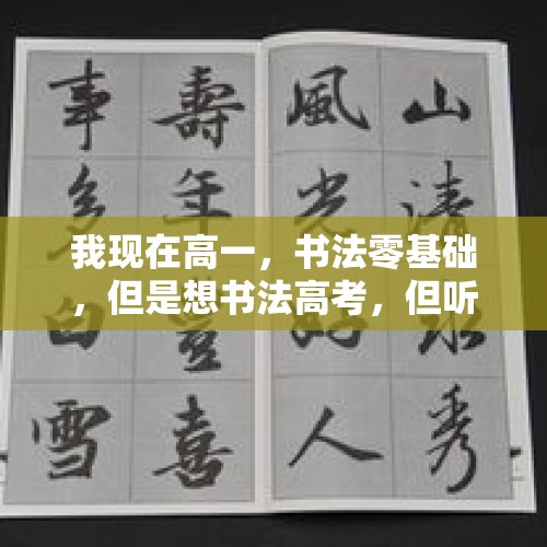 我现在高一，书法零基础，但是想书法高考，但听说高三的时候有各种集训，费用是不是很贵？大概多少？，一边眼睛失明能参加教师考编吗？