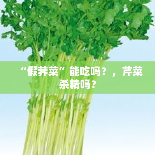 “假荠菜”能吃吗？，芹菜杀精吗？