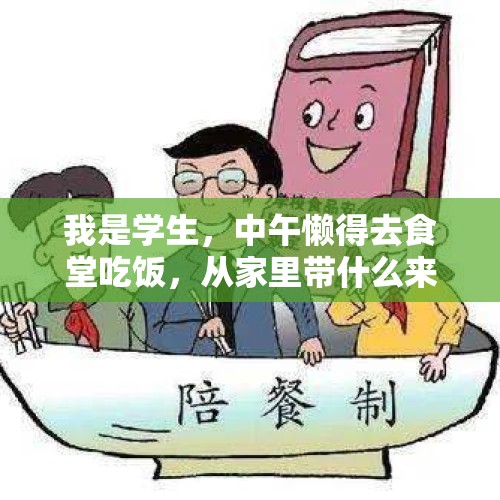 我是学生，中午懒得去食堂吃饭，从家里带什么来充饥比较好？，学校为什么不让孩子带饭？