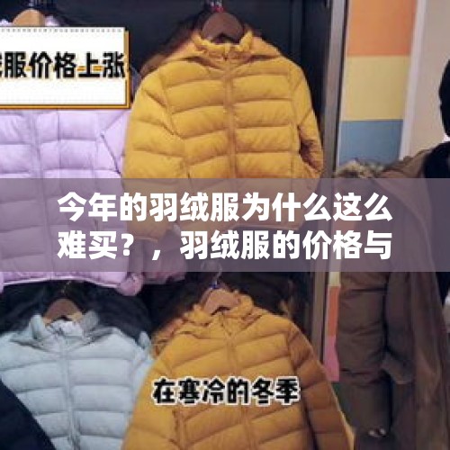 今年的羽绒服为什么这么难买？，羽绒服的价格与质量？