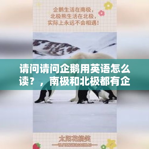 请问请问企鹅用英语怎么读？，南极和北极都有企鹅生存吗？为什么？