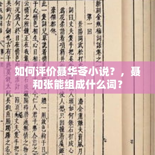 如何评价聂华苓小说？，聂和张能组成什么词？