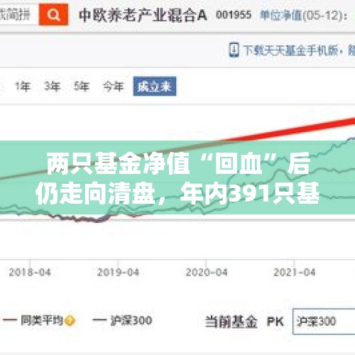 两只基金净值“回血”后仍走向清盘，年内391只基金离场