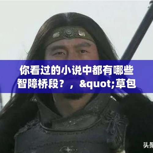 你看过的小说中都有哪些智障桥段？，"草包将军"潘凤，在网上是如何成为上将的？