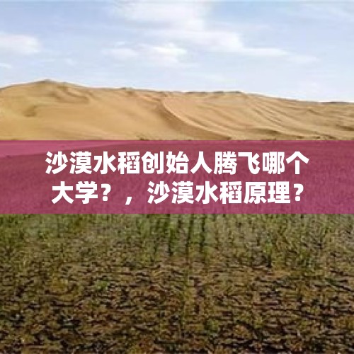 沙漠水稻创始人腾飞哪个大学？，沙漠水稻原理？