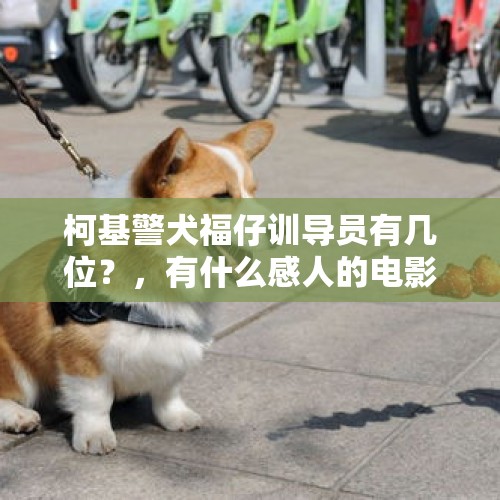 柯基警犬福仔训导员有几位？，有什么感人的电影或电视剧、最好让人哭的那种、推荐一下？