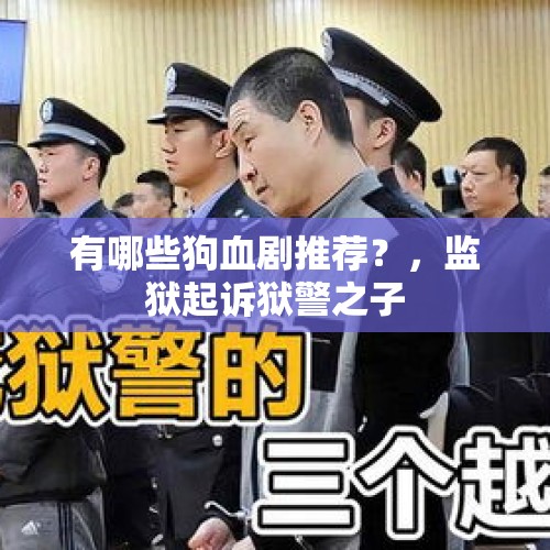 有哪些狗血剧推荐？，监狱起诉狱警之子