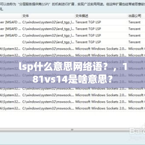 lsp什么意思网络语？，181vs14是啥意思？