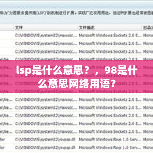 lsp是什么意思？，98是什么意思网络用语？