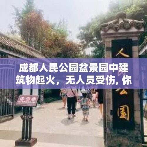 成都人民公园盆景园中建筑物起火，无人员受伤, 你怎么看？，成都一电动车在小区电梯内起火？