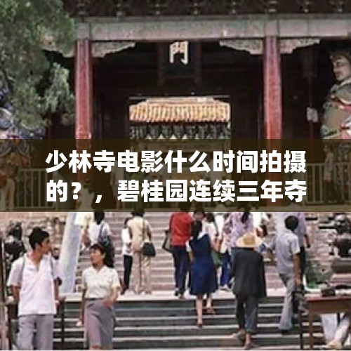 少林寺电影什么时间拍摄的？，碧桂园连续三年夺销售榜首，哪些因素决定其战略定力和发展实力？